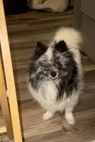 processed/3c84d414-9543-4a16-84ae-71aa9b0c34f4/facility/1eea68e6-61c4-4b21-ae17-c39e4f9d66b7