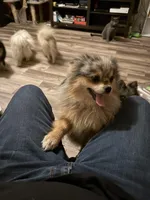 processed/3c84d414-9543-4a16-84ae-71aa9b0c34f4/facility/37fbcaac-1fca-4305-8bf9-90a0b1d21a3e