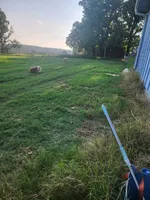 processed/3c84d414-9543-4a16-84ae-71aa9b0c34f4/facility/daa0ef39-cf2a-48ea-b369-add0ccf46d5c