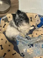 processed/3c84d414-9543-4a16-84ae-71aa9b0c34f4/facility/e8cdcf4b-d76b-463d-98d9-1d8fd5201d80