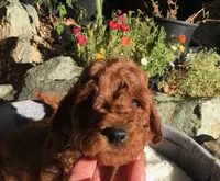 processed/3c88156a-cc79-49fa-8486-3a7ed1f21bc3/facility/0f3c001a-3d82-4a50-8c2d-dfb1d99c74d8