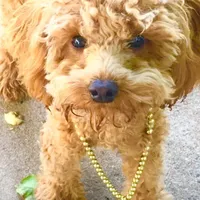 processed/3c88156a-cc79-49fa-8486-3a7ed1f21bc3/facility/92afca71-b928-411f-adcf-3760696eb678