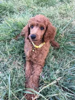 processed/3c88156a-cc79-49fa-8486-3a7ed1f21bc3/listing/25fe1a6c-1bef-45ef-a44e-1f968b763cc7/55a22fdc-0ce0-41e0-a266-ee1e29a92f26