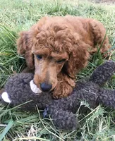 processed/3c88156a-cc79-49fa-8486-3a7ed1f21bc3/listing/25fe1a6c-1bef-45ef-a44e-1f968b763cc7/9509834e-159c-4cbc-abbf-1ebbab8a430e