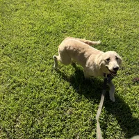 processed/3c96f61e-75e7-42db-9ebe-fb6999bab7ef/facility/1642dfe4-e09d-4d60-add4-a807b45cfa01