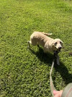 processed/3c96f61e-75e7-42db-9ebe-fb6999bab7ef/facility/1642dfe4-e09d-4d60-add4-a807b45cfa01