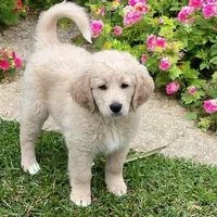 processed/3c96f61e-75e7-42db-9ebe-fb6999bab7ef/facility/29e22c8c-71eb-4b90-a0e9-371ce48c99e4