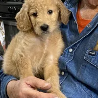 processed/3c96f61e-75e7-42db-9ebe-fb6999bab7ef/facility/2ff90443-789f-4fcb-8652-54d9576443c9