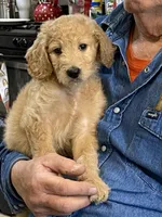 processed/3c96f61e-75e7-42db-9ebe-fb6999bab7ef/facility/2ff90443-789f-4fcb-8652-54d9576443c9