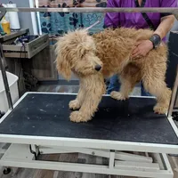 processed/3c96f61e-75e7-42db-9ebe-fb6999bab7ef/facility/713baf47-8716-4ca4-ad30-4cb7c24e59a9