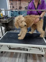 processed/3c96f61e-75e7-42db-9ebe-fb6999bab7ef/facility/713baf47-8716-4ca4-ad30-4cb7c24e59a9