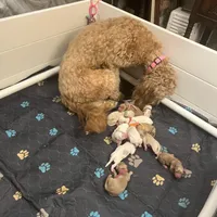 processed/3c96f61e-75e7-42db-9ebe-fb6999bab7ef/facility/a76a5a9d-926b-43ff-8840-5a4b8c53b859