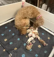 processed/3c96f61e-75e7-42db-9ebe-fb6999bab7ef/facility/a76a5a9d-926b-43ff-8840-5a4b8c53b859