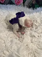 processed/3c96f61e-75e7-42db-9ebe-fb6999bab7ef/listing/5732f9a5-dfd1-44f0-aed1-434e4f69730d/ca77b60f-0450-463d-8aef-7d92f4eb8266