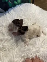 processed/3c96f61e-75e7-42db-9ebe-fb6999bab7ef/listing/b0f06919-9fae-4b04-9ab2-e5744f13fc0b/24a3ac33-b72d-47bf-8d73-a54f95a44061