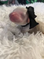 processed/3c96f61e-75e7-42db-9ebe-fb6999bab7ef/listing/b0f06919-9fae-4b04-9ab2-e5744f13fc0b/6cd790c1-8902-46e9-b36a-fed719c38f4f