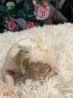 processed/3c96f61e-75e7-42db-9ebe-fb6999bab7ef/listing/bfc4edb3-84cd-4dfd-ac81-bf7857a858dd/2bf9c765-2897-46da-b3b9-d4d6a7a2c032