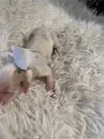 processed/3c96f61e-75e7-42db-9ebe-fb6999bab7ef/listing/bfc4edb3-84cd-4dfd-ac81-bf7857a858dd/f58099b3-f16f-4770-a799-eeecccce3ef3