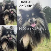 processed/3ca4e208-5978-4463-bcb9-978e23944bd4/facility/33640800-9991-4add-8d9b-af5eb9993ae3