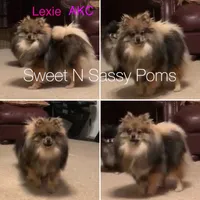 processed/3ca4e208-5978-4463-bcb9-978e23944bd4/facility/41056861-3abe-4345-9d16-d786efcc3091