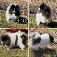 processed/3ca4e208-5978-4463-bcb9-978e23944bd4/facility/50cd8315-5b6f-41b7-95b9-89fa991bf0d2