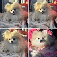 processed/3ca4e208-5978-4463-bcb9-978e23944bd4/facility/6b7e0b72-ea2d-492b-9acc-4d314ac4dfb0