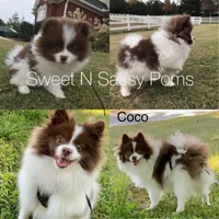 processed/3ca4e208-5978-4463-bcb9-978e23944bd4/facility/7e2cb555-d766-4ba4-8fcd-75790f8f529c