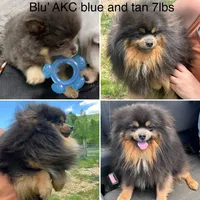 processed/3ca4e208-5978-4463-bcb9-978e23944bd4/facility/b1b05b6a-a697-401e-b56a-fbbdd92ebfef