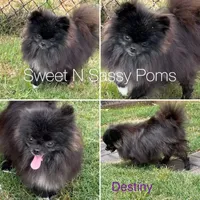 processed/3ca4e208-5978-4463-bcb9-978e23944bd4/facility/efd02f0b-5cfd-4ffe-b5e9-dadd05f997b4