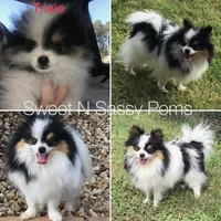 processed/3ca4e208-5978-4463-bcb9-978e23944bd4/facility/f08327f0-36b4-45e6-b0b5-2ad4597516b9