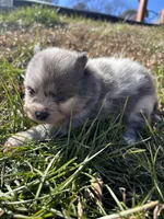 processed/3ca4e208-5978-4463-bcb9-978e23944bd4/listing/4179ffbd-11a9-4e45-a43b-b62d85770bf0/28e82d71-dbbf-482e-b827-1cec8d933d0d