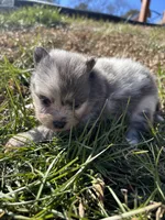 processed/3ca4e208-5978-4463-bcb9-978e23944bd4/listing/4179ffbd-11a9-4e45-a43b-b62d85770bf0/7ce908c4-f347-493b-8528-2b9e53c25cca