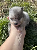 processed/3ca4e208-5978-4463-bcb9-978e23944bd4/listing/4179ffbd-11a9-4e45-a43b-b62d85770bf0/a7fbaaac-d540-4fd3-aa39-4d79a9d33c61