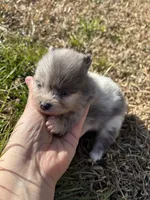 processed/3ca4e208-5978-4463-bcb9-978e23944bd4/listing/4179ffbd-11a9-4e45-a43b-b62d85770bf0/c5a1a681-fbee-4008-91cf-a05334e841ce