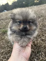 processed/3ca4e208-5978-4463-bcb9-978e23944bd4/listing/ecb5b3a7-e039-479f-96ac-d3aba2f8631e/33d85e96-3eba-4154-b8fe-866d157ed16a