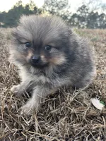 processed/3ca4e208-5978-4463-bcb9-978e23944bd4/listing/ecb5b3a7-e039-479f-96ac-d3aba2f8631e/81cb21f2-97d6-445a-87f8-e6ace27c362b