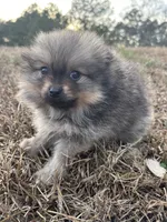 processed/3ca4e208-5978-4463-bcb9-978e23944bd4/listing/ecb5b3a7-e039-479f-96ac-d3aba2f8631e/8b32765c-00f7-4d4b-90b0-fe0b4a936c0d