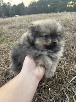 processed/3ca4e208-5978-4463-bcb9-978e23944bd4/listing/ecb5b3a7-e039-479f-96ac-d3aba2f8631e/a1bbde8f-5787-4311-a2c7-d34b5fee6146