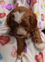 processed/3cae77cb-e9be-41d5-bb73-bdcd1affe4f4/listing/4f072208-5927-4a5f-bb70-2a96be797522/5dd78d84-ac97-44e9-bf7f-d0edcf9d0eba