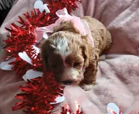 processed/3cae77cb-e9be-41d5-bb73-bdcd1affe4f4/listing/4f072208-5927-4a5f-bb70-2a96be797522/d2454b2f-049b-42d3-86d1-e660e1562af7