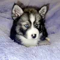 processed/3cb108d5-9870-4451-8847-9cfc3e089c70/facility/a2ba4eb3-7aa4-49b8-8497-4fa79eb0da6c