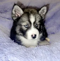 processed/3cb108d5-9870-4451-8847-9cfc3e089c70/facility/a2ba4eb3-7aa4-49b8-8497-4fa79eb0da6c