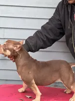 processed/3cd53877-f469-4c39-93be-99b05455f949/listing/00e37e56-efd9-4f94-be24-31eff719cf44/522be072-2398-4f6a-84b9-102b689b9e91