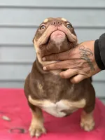 processed/3cd53877-f469-4c39-93be-99b05455f949/listing/00e37e56-efd9-4f94-be24-31eff719cf44/7125f175-586f-4e39-a3ca-3cb47cd32b03