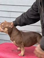 processed/3cd53877-f469-4c39-93be-99b05455f949/listing/00e37e56-efd9-4f94-be24-31eff719cf44/79a540db-c004-49a6-807d-ad7fc6f796f8