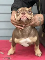 processed/3cd53877-f469-4c39-93be-99b05455f949/listing/00e37e56-efd9-4f94-be24-31eff719cf44/86e83315-8025-4acd-8064-acec67ae911b