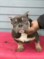 processed/3cd53877-f469-4c39-93be-99b05455f949/listing/6bbed78b-fc6e-4ceb-b029-2e5c743006be/62d2c710-7bce-4fef-9960-24ddf676e96a