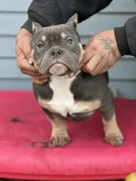 processed/3cd53877-f469-4c39-93be-99b05455f949/listing/6bbed78b-fc6e-4ceb-b029-2e5c743006be/b24d8cd6-0266-48d3-8c4f-4f5d5019d3c7