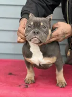 processed/3cd53877-f469-4c39-93be-99b05455f949/listing/6bbed78b-fc6e-4ceb-b029-2e5c743006be/ca43e221-f71c-4d98-a2c4-fae059bd8963