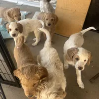 processed/3ceeb217-a89e-4d41-988d-e8e3256af047/facility/28a9611e-ed20-4af9-ad70-4161ea8d4518